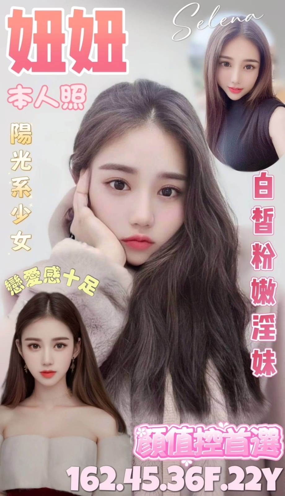 台北定點茶-妞妞