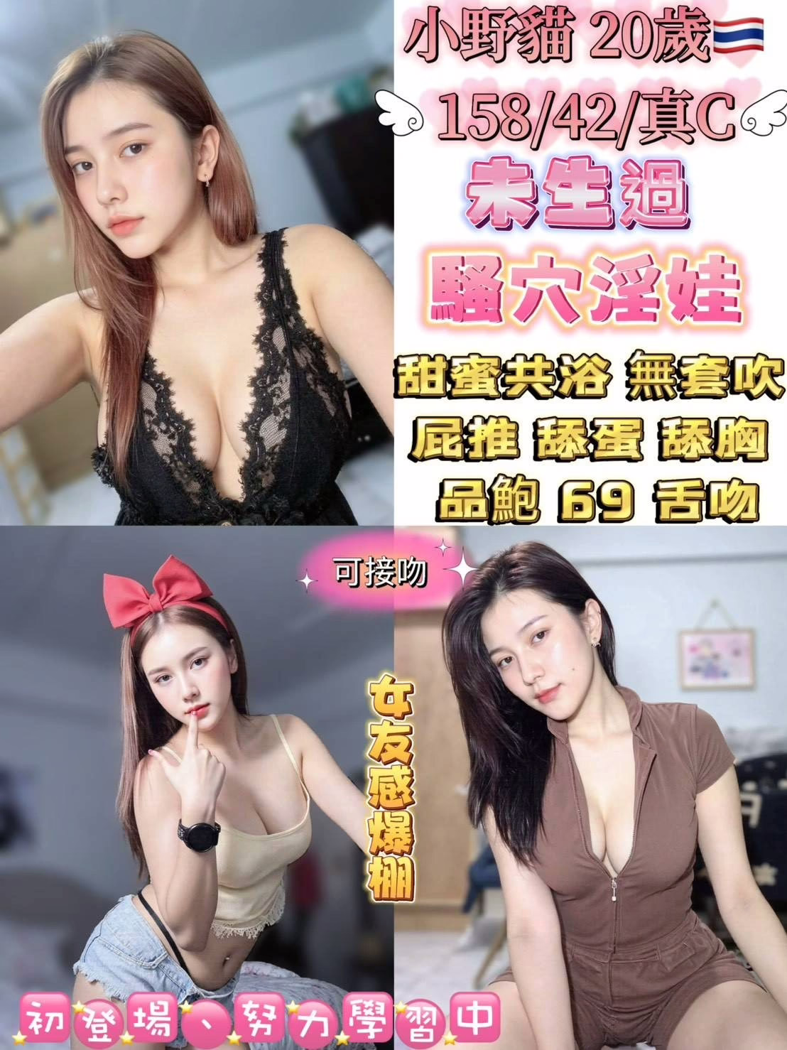 台北定點茶-小野貓