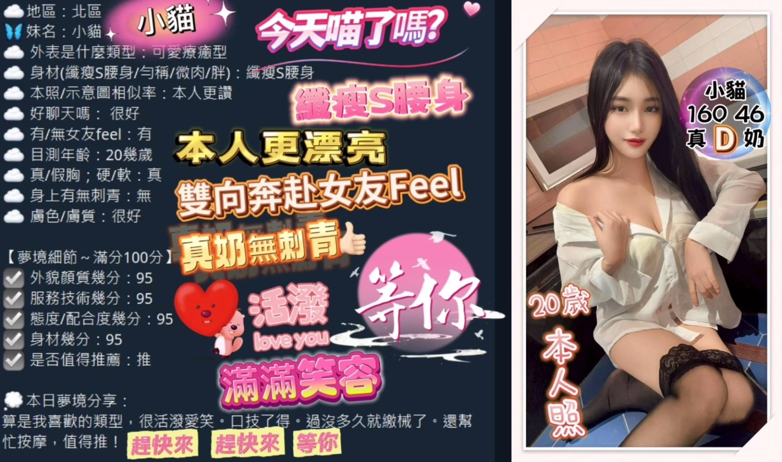 台中定點茶-小貓